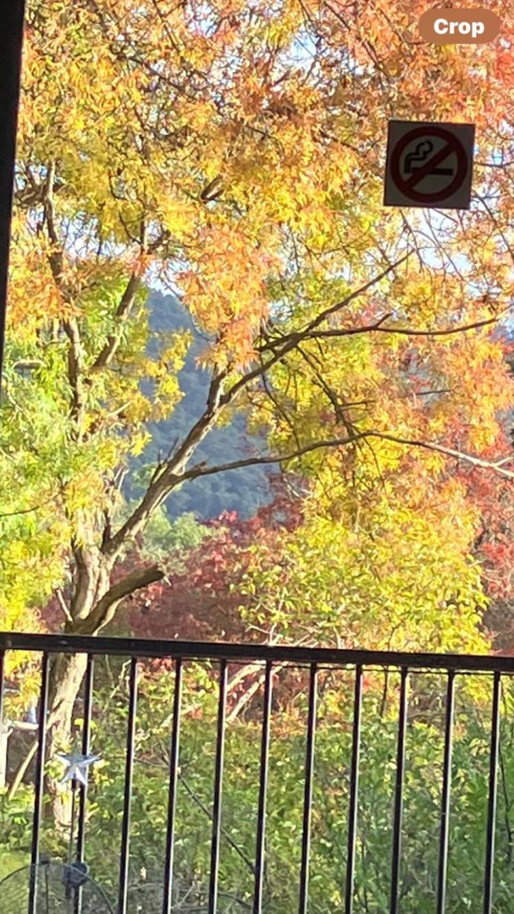 Yarra Ranges Country Apartment Mount Evelyn Zewnętrze zdjęcie