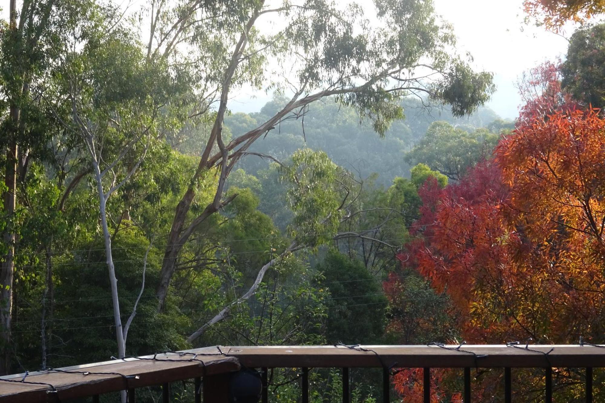 Yarra Ranges Country Apartment Mount Evelyn Zewnętrze zdjęcie