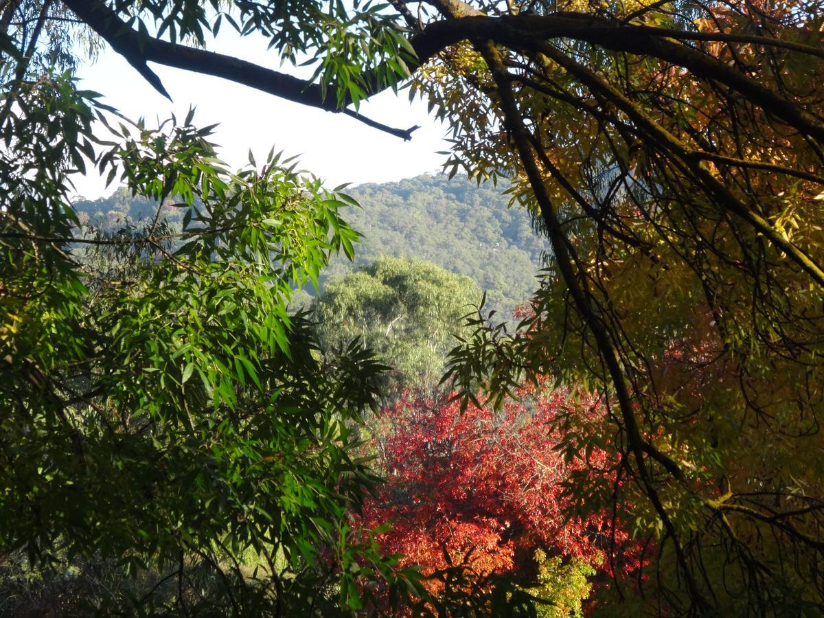 Yarra Ranges Country Apartment Mount Evelyn Zewnętrze zdjęcie