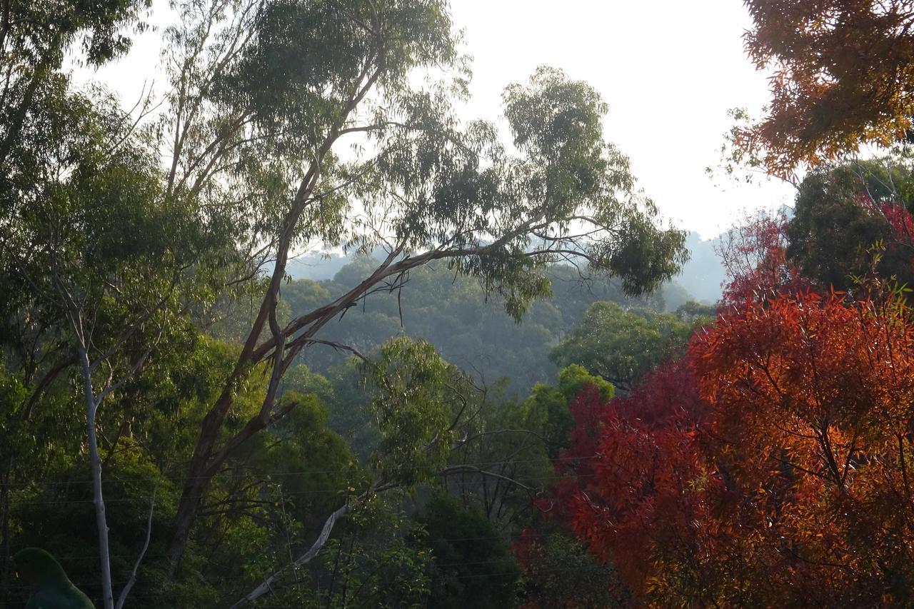 Yarra Ranges Country Apartment Mount Evelyn Zewnętrze zdjęcie