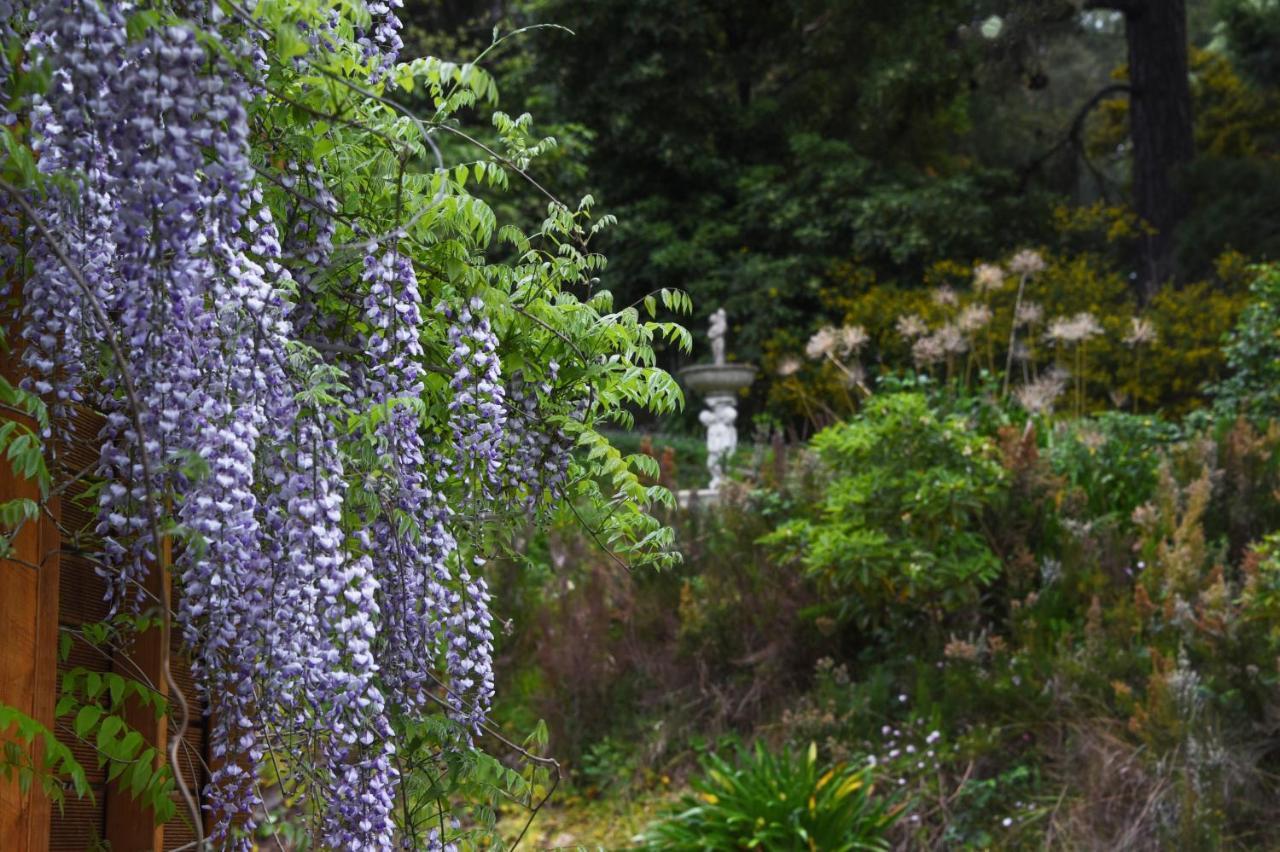 Yarra Ranges Country Apartment Mount Evelyn Zewnętrze zdjęcie