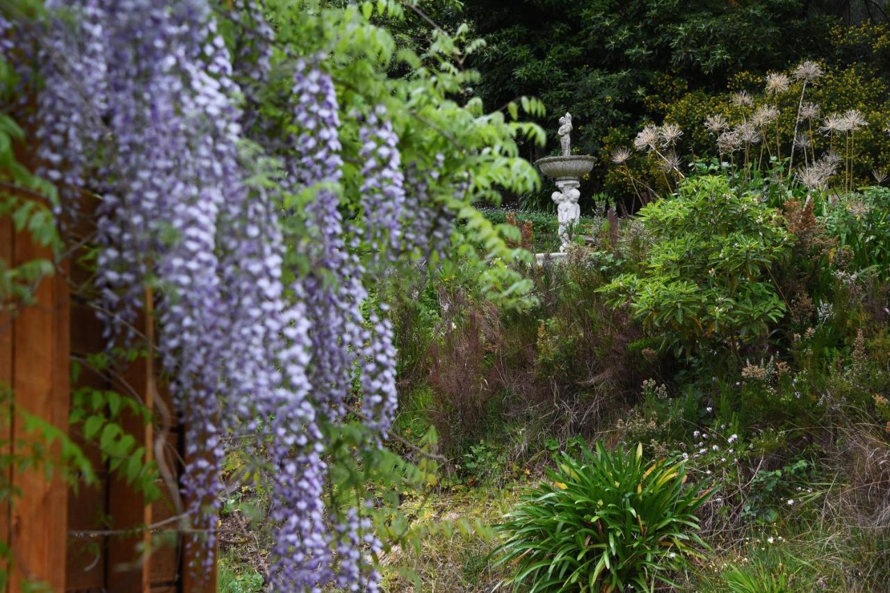 Yarra Ranges Country Apartment Mount Evelyn Zewnętrze zdjęcie