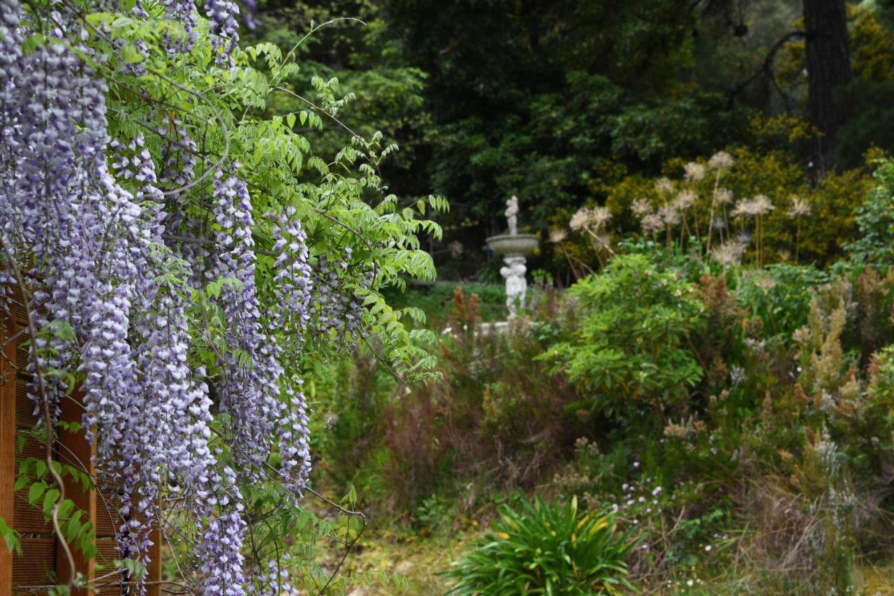 Yarra Ranges Country Apartment Mount Evelyn Zewnętrze zdjęcie